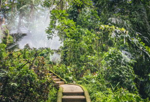 Breathtaking nature and tropical escapes