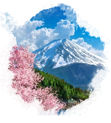 About Your Trip
