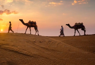 Desert & Wildlife Safari