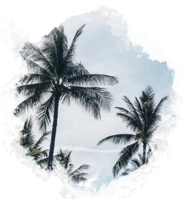 About your Trip