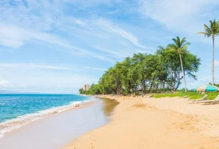 Relax At Kerala’s Beach