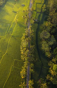 Kerala
