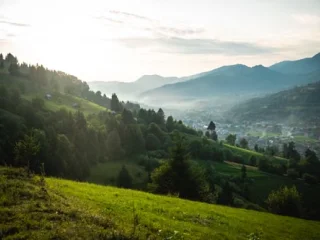 Peak Season